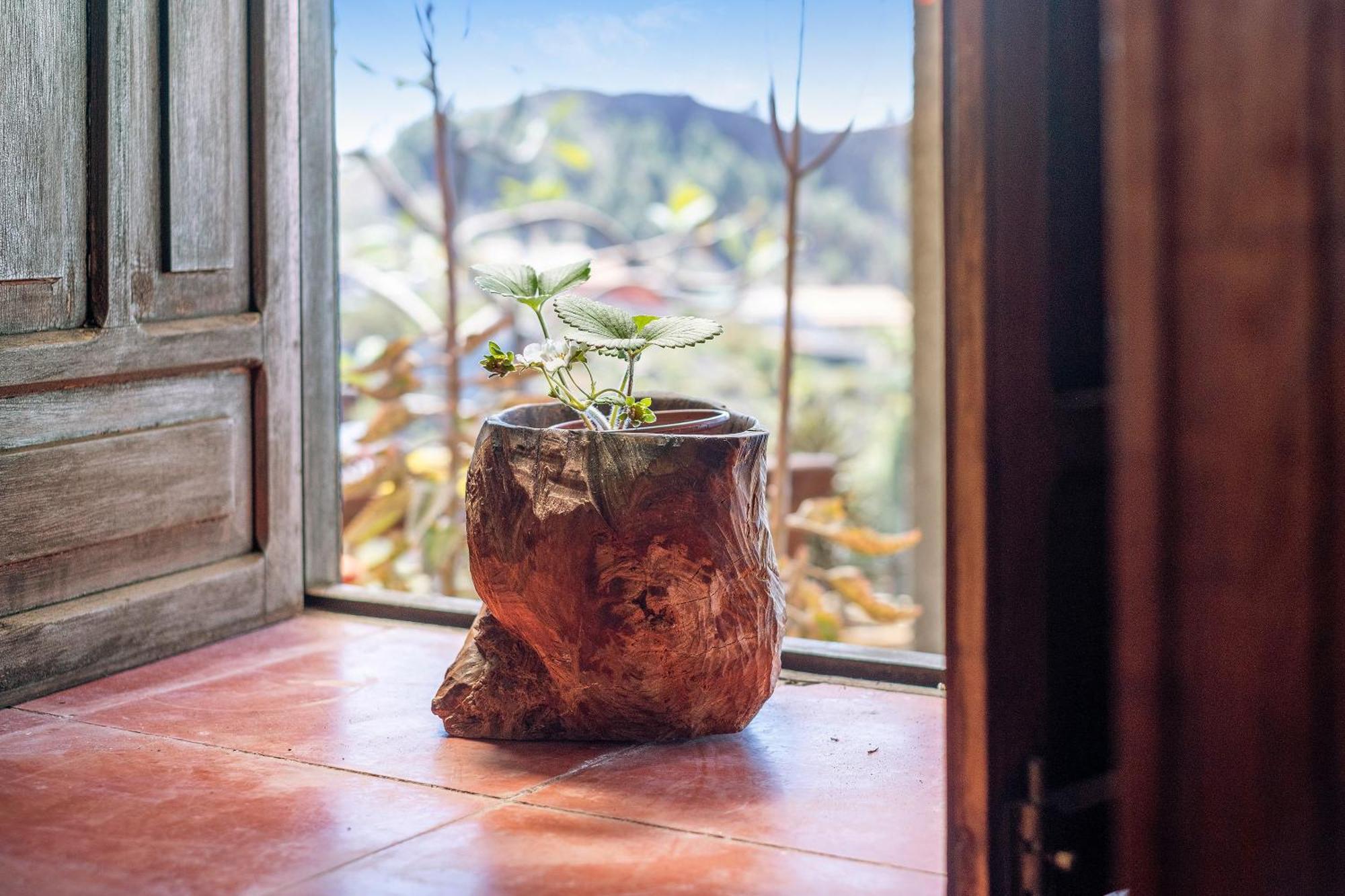 Casa La Podona- A Villa Jedey ภายนอก รูปภาพ