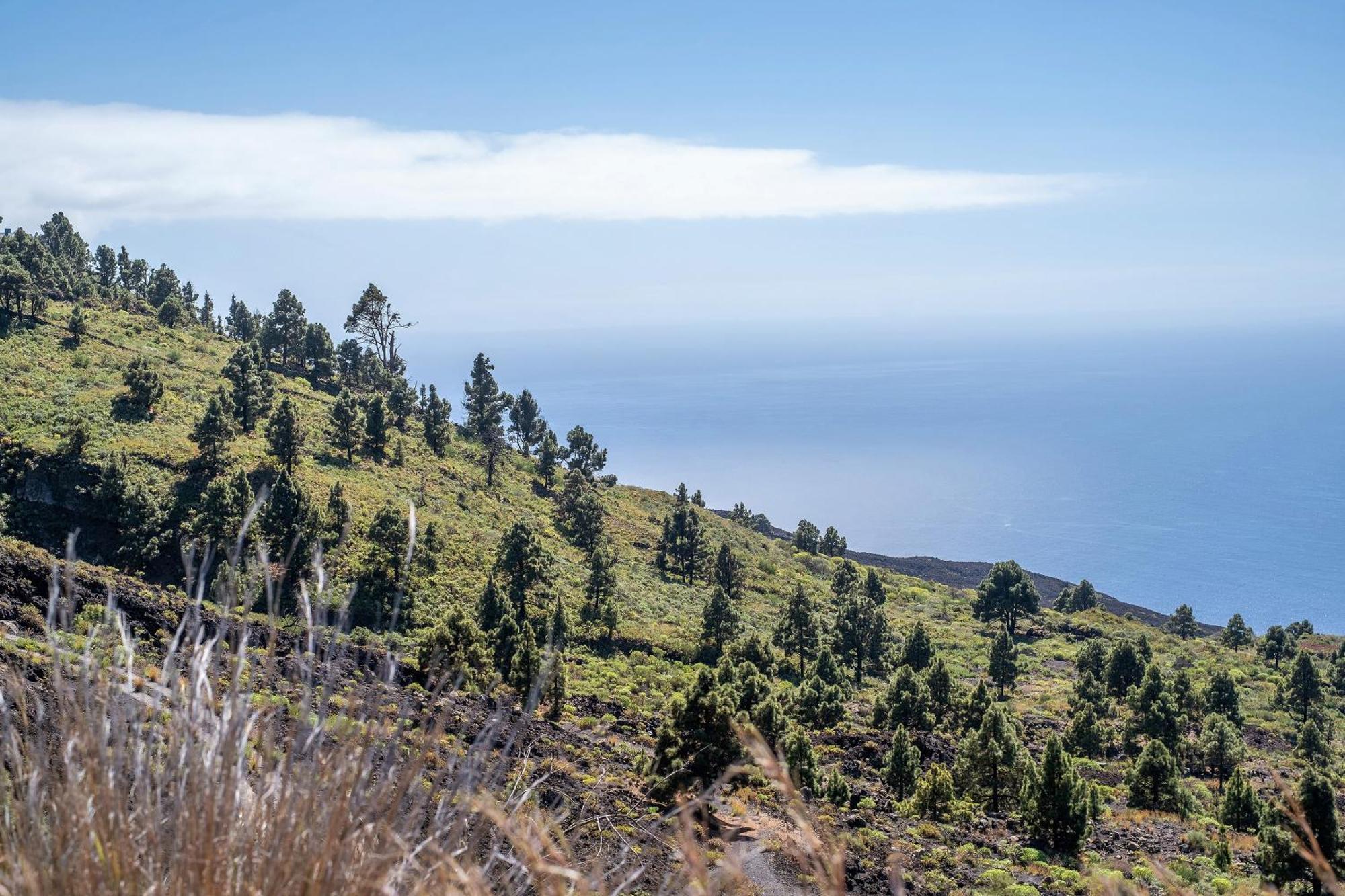 Casa La Podona- A Villa Jedey ภายนอก รูปภาพ